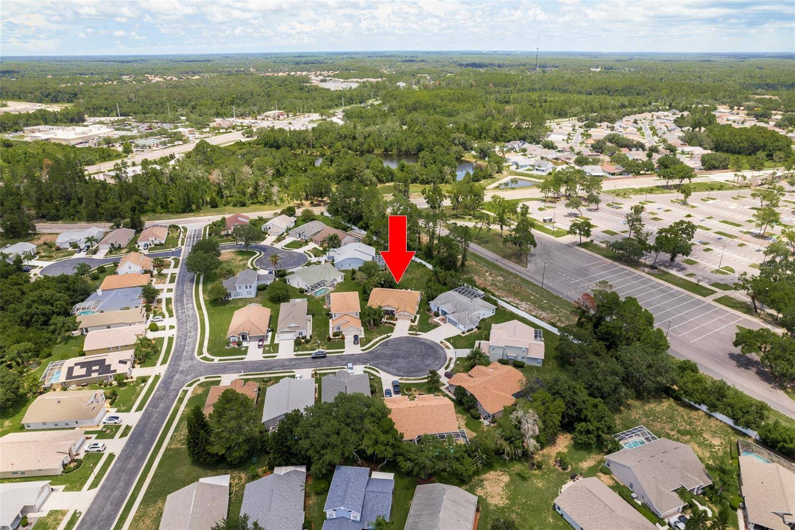 New Port Richey, FL 34654,11439 DORIAN CT