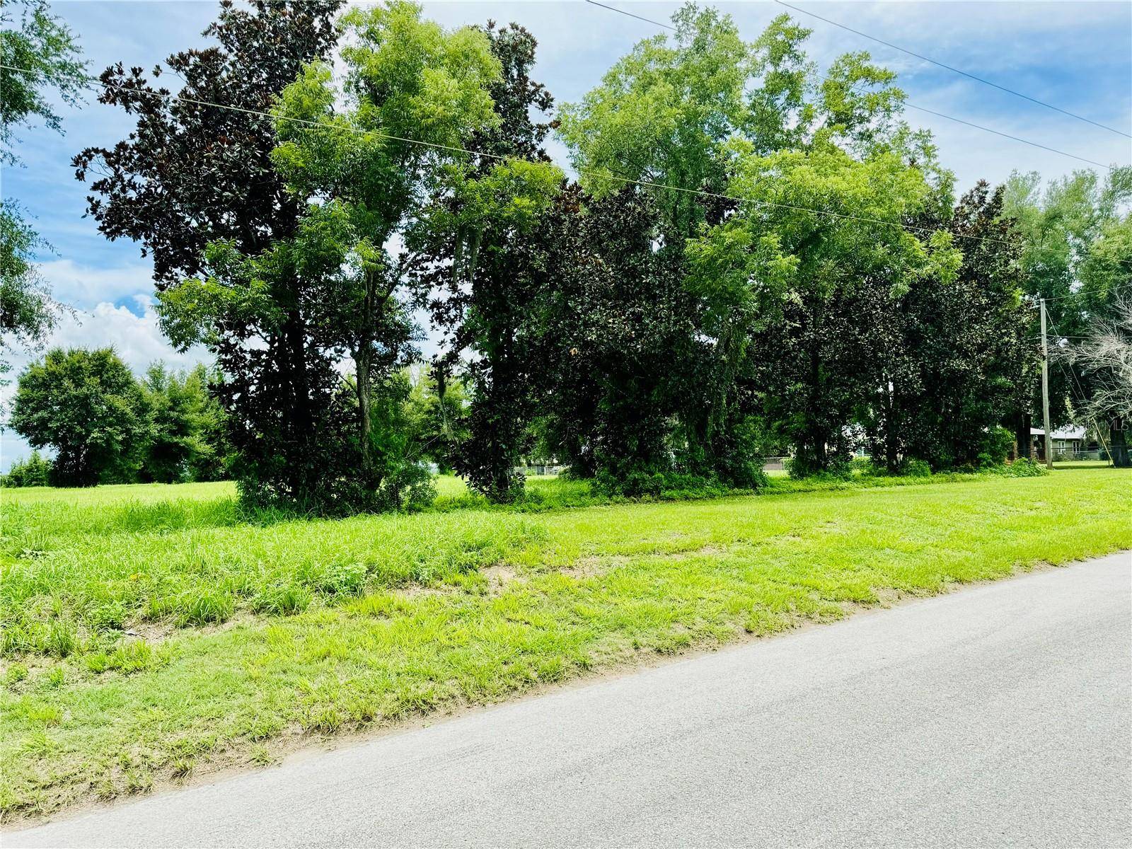 Zephyrhills, FL 33541,FAIRVIEW HEIGHTS RD
