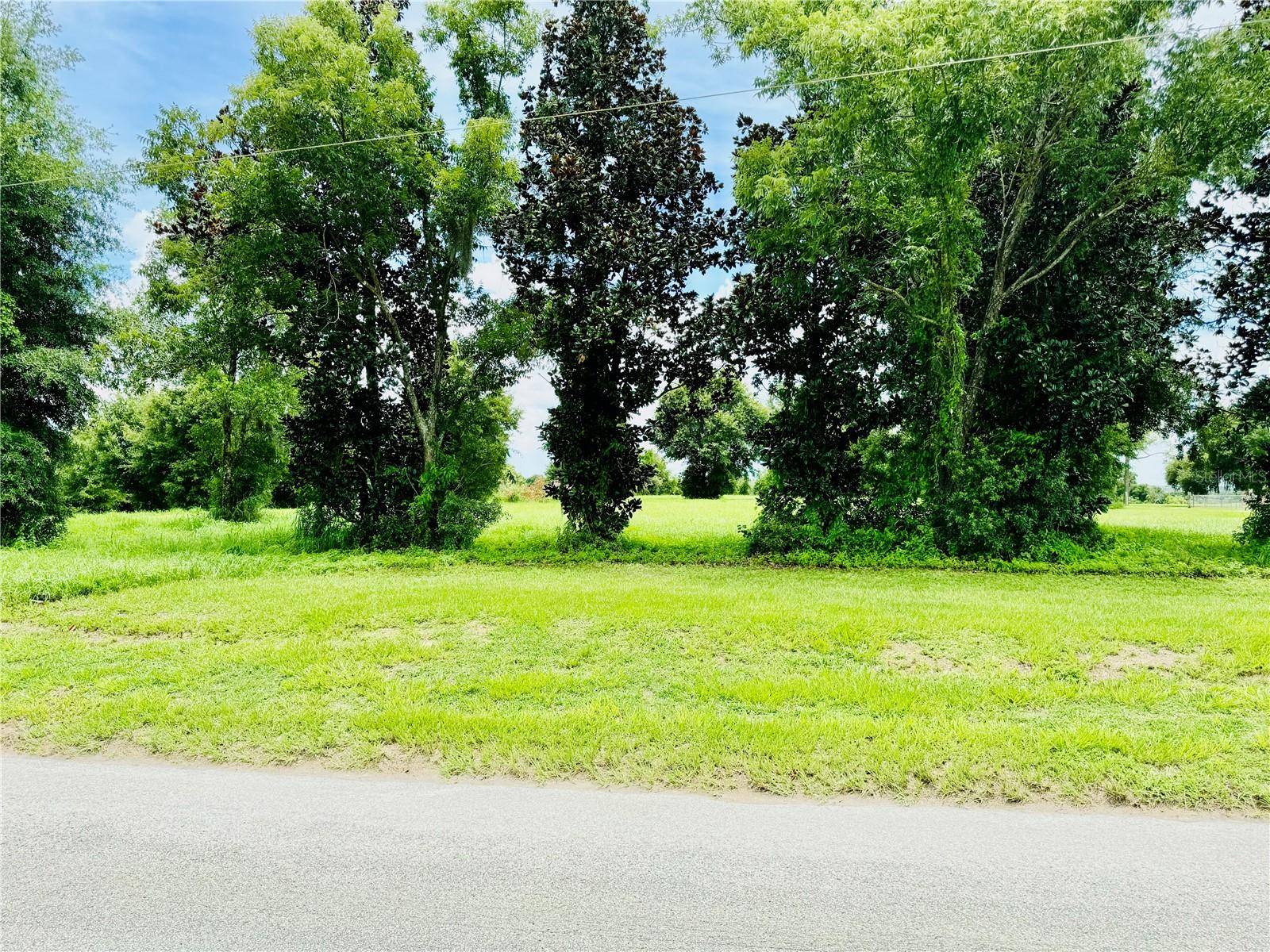 Zephyrhills, FL 33541,FAIRVIEW HEIGHTS RD