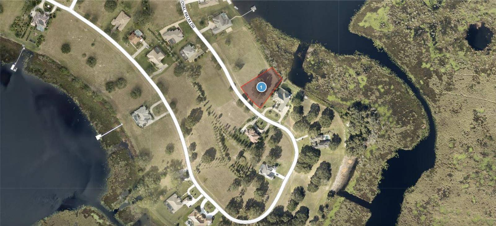 Groveland, FL 34736,Lot 39 ROYAL PALM DR