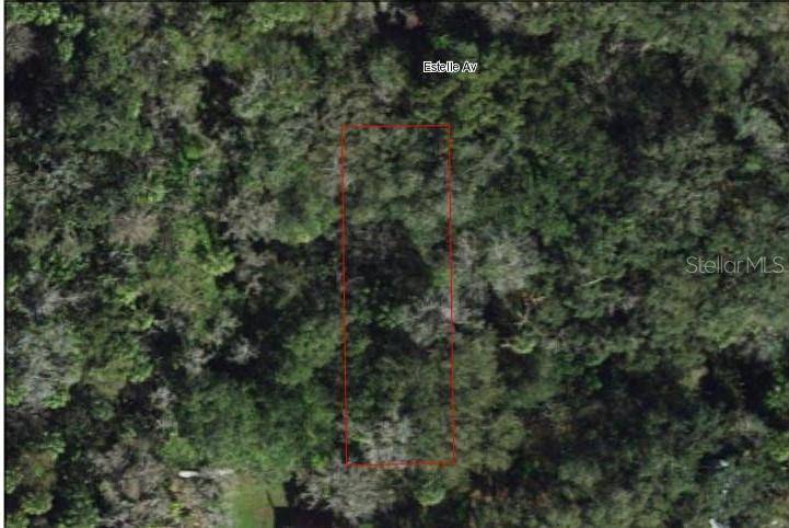 Brandon, FL 33511,939 ESTELLE AVE