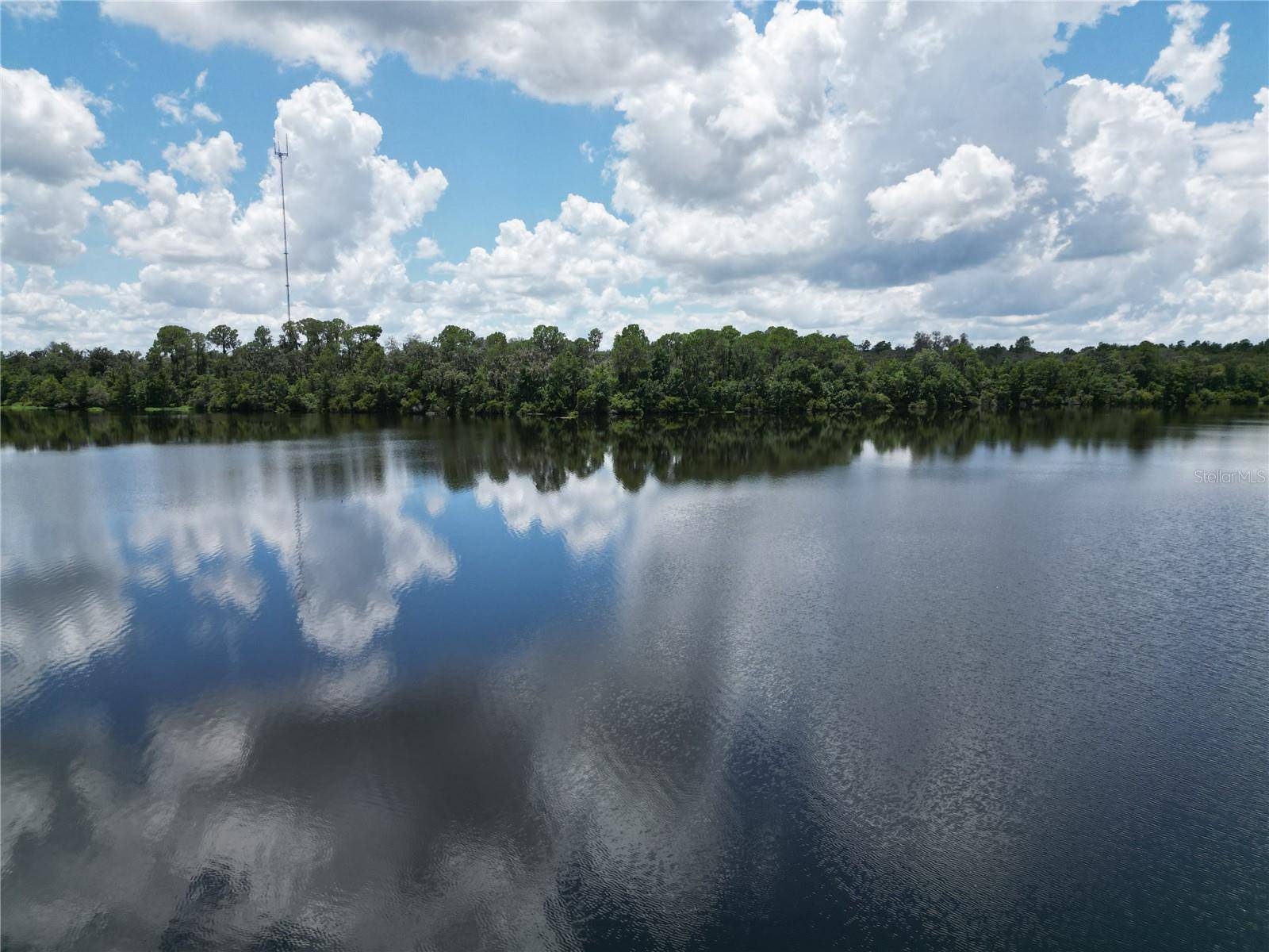 Riverview, FL 33569,12915 SHADOW RUN BLVD
