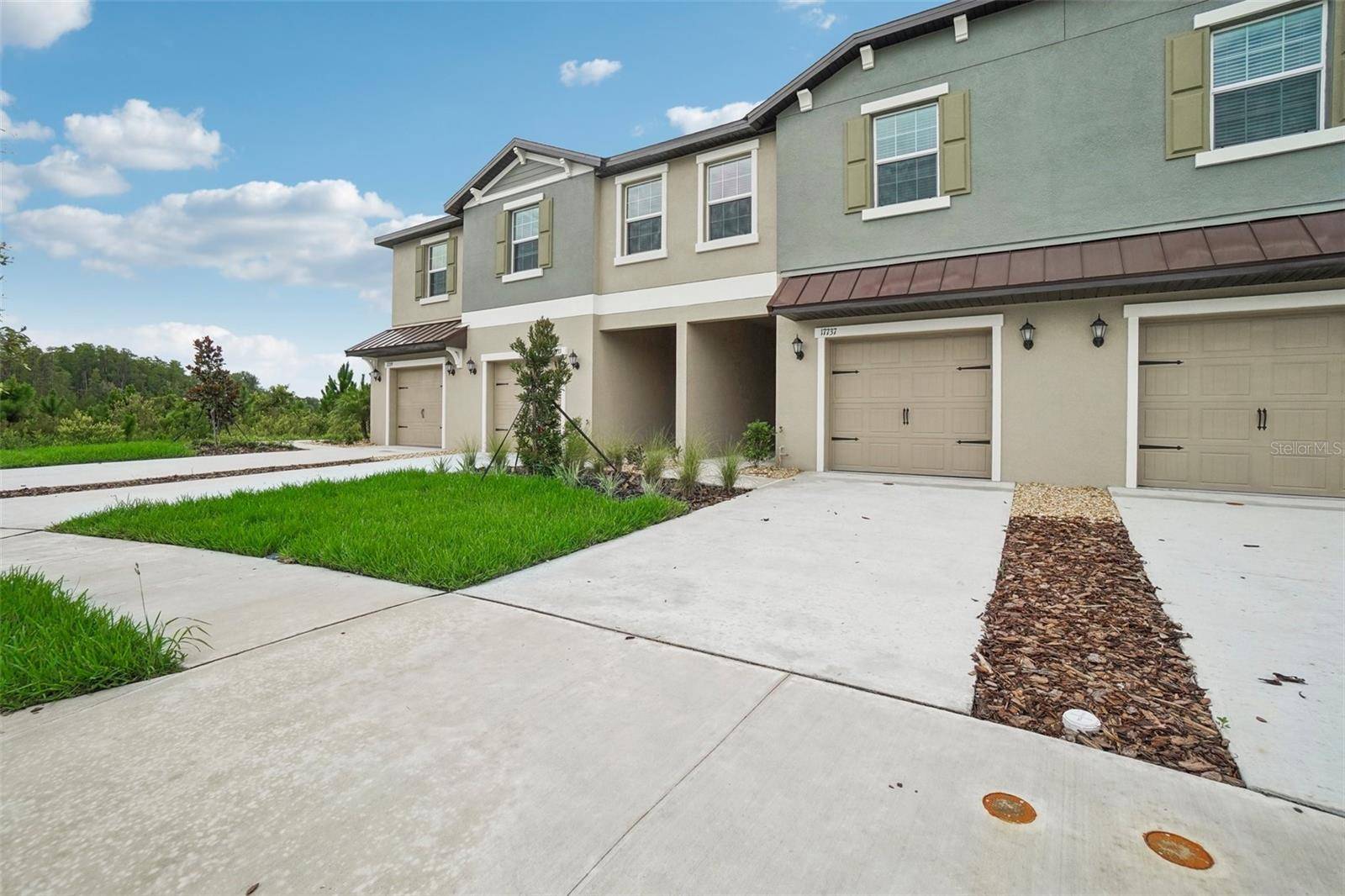 Land O Lakes, FL 34638,17737 COTTON NEST CT