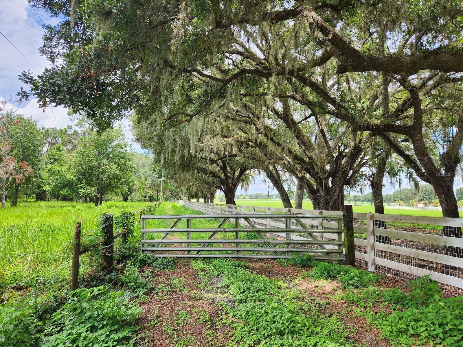 Zephyrhills, FL 33541,8955 FORT KING RD