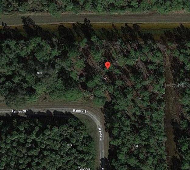 Lehigh Acres, FL 33974,1225 RAINES ST E