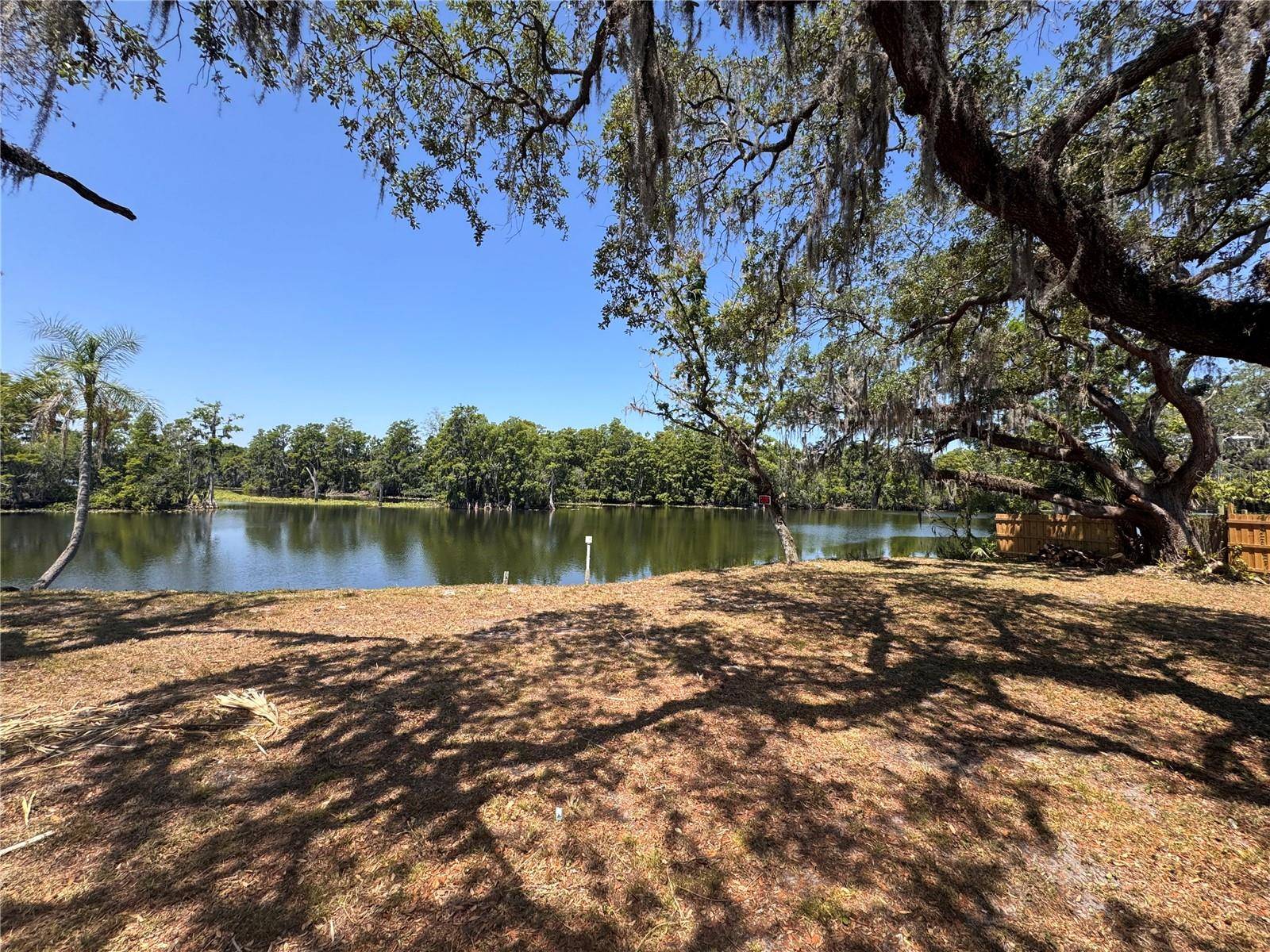 Tampa, FL 33617,HARNEY