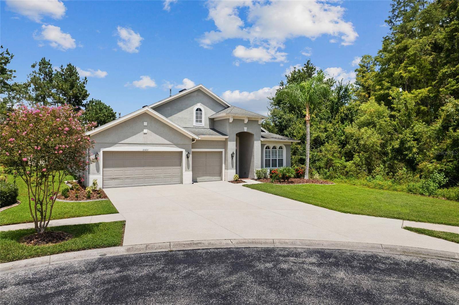 Wesley Chapel, FL 33543,31421 ANNISTON DR