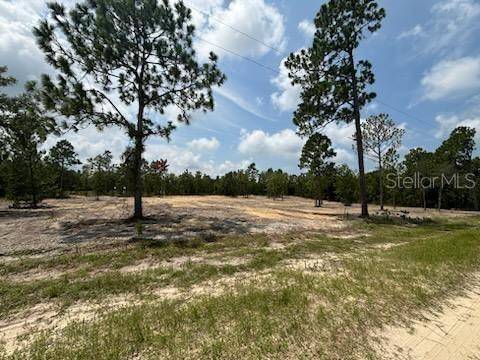 Crystal River, FL 34428,7280 W AUGUST LN