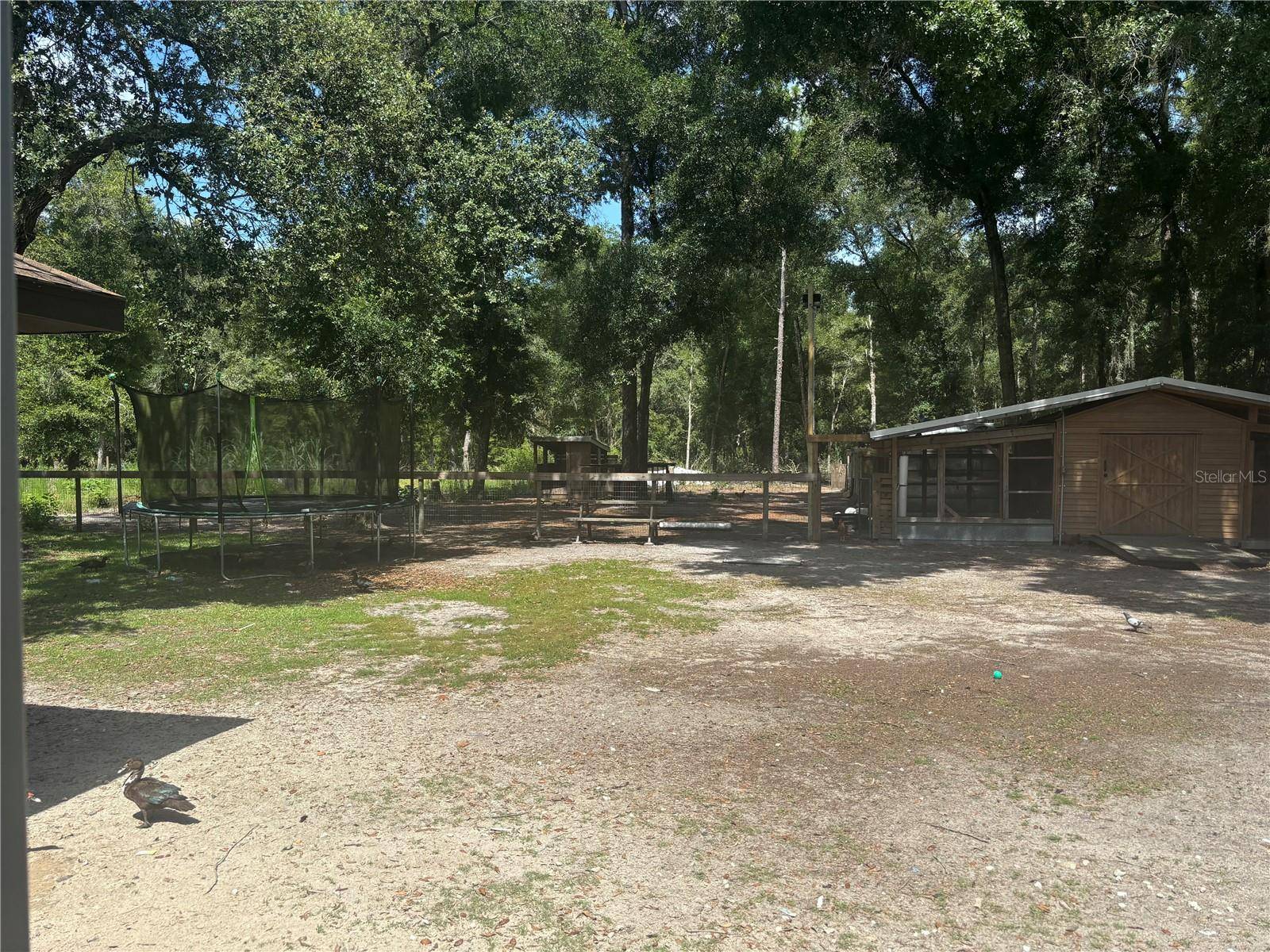 Bushnell, FL 33513,10566 CR 671