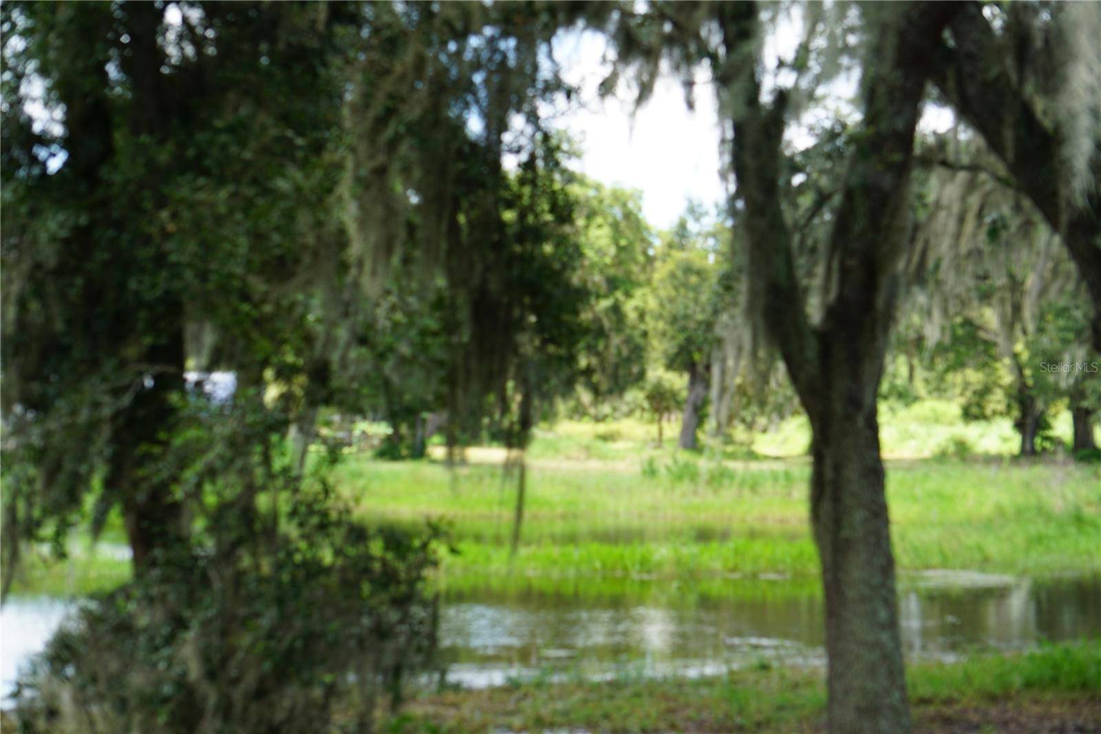 Plant City, FL 33565,GALLAGHER RD