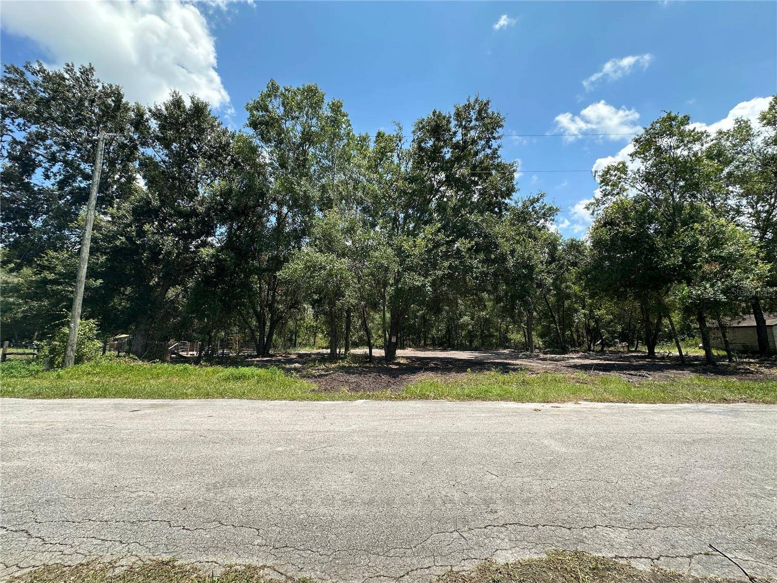 Land O Lakes, FL 34638,0 SAINT JOHNS RD