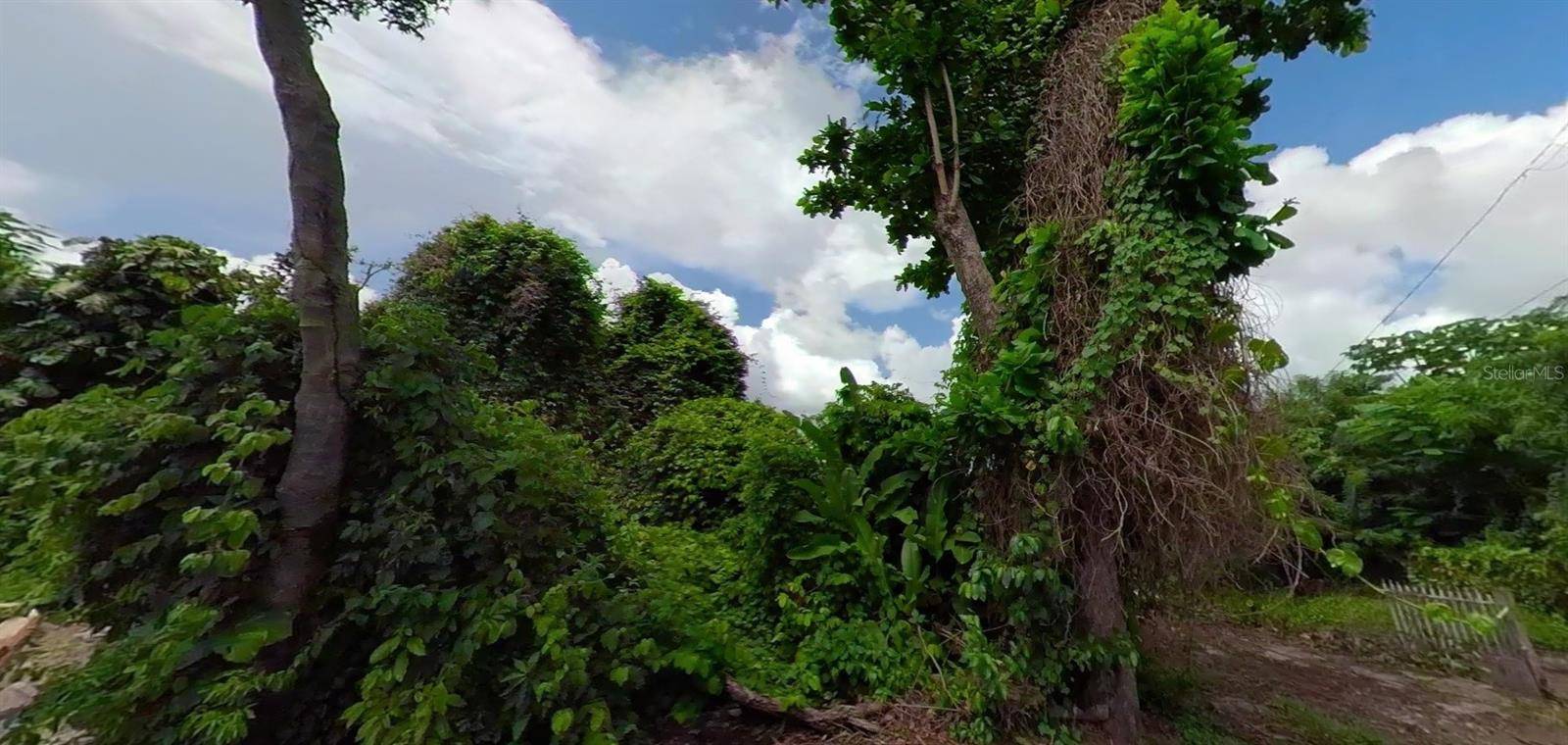 Caguas, PR 00725,CAMINO MORCELO