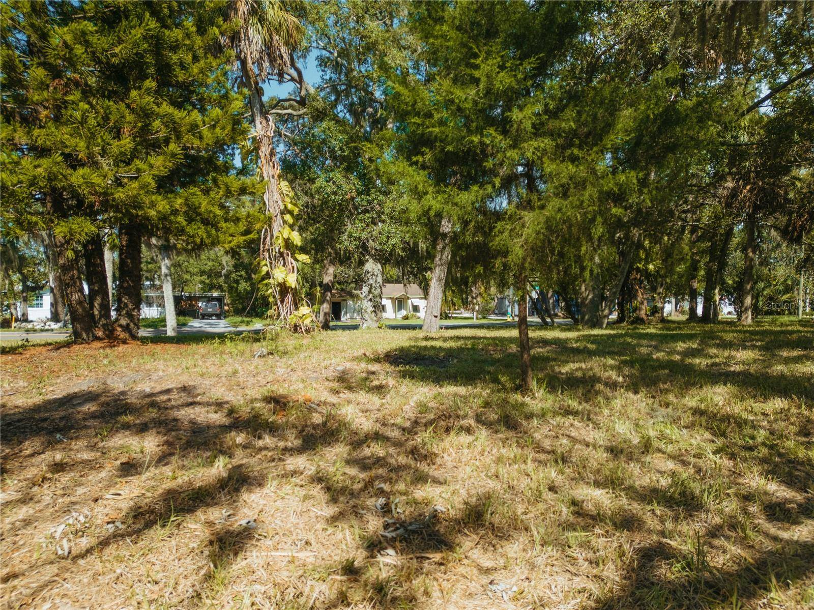 Hudson, FL 34667,ARIPEKA RD