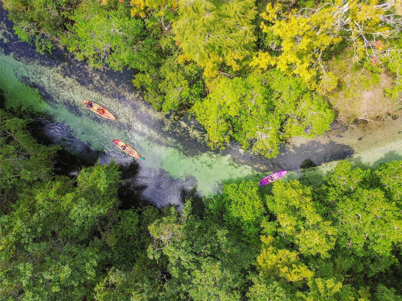 Weeki Wachee, FL 34607,6101 WATERS WAY