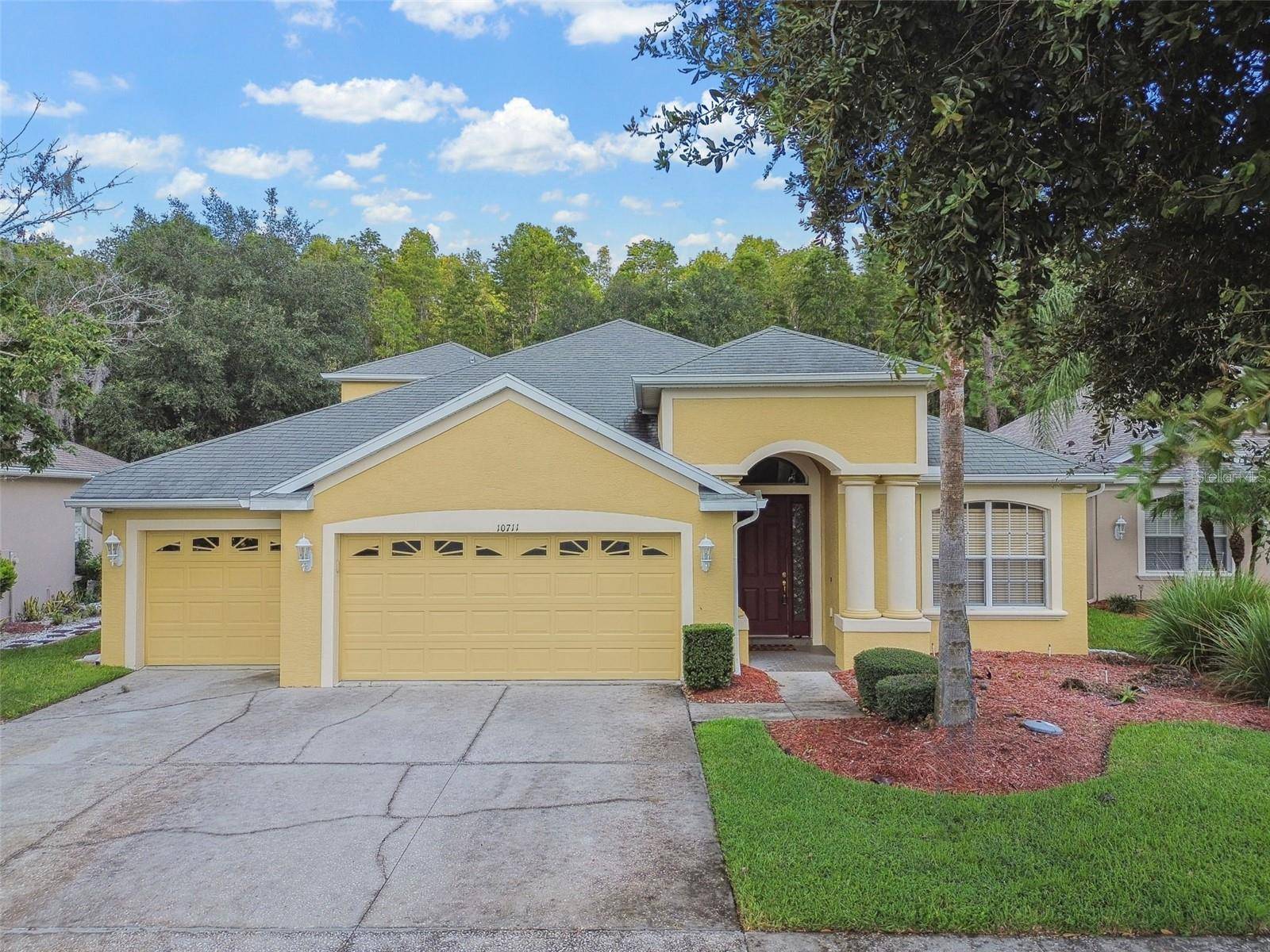 Land O Lakes, FL 34638,10711 PEARL BERRY LOOP