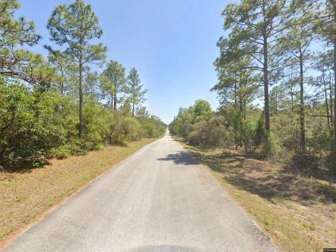 Dunnellon, FL 34432,0 SW 207 CT