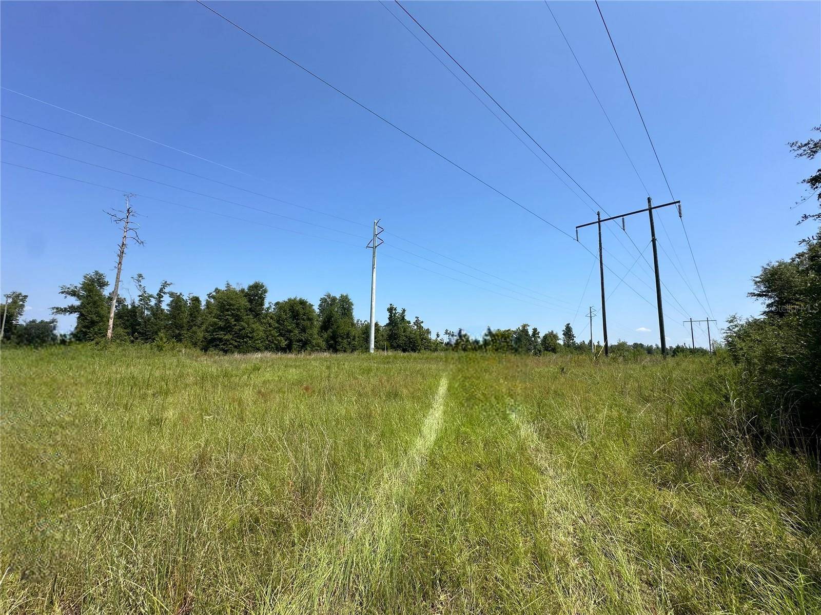 Altha, FL 32421,NW BAILEY CEMETARY RD