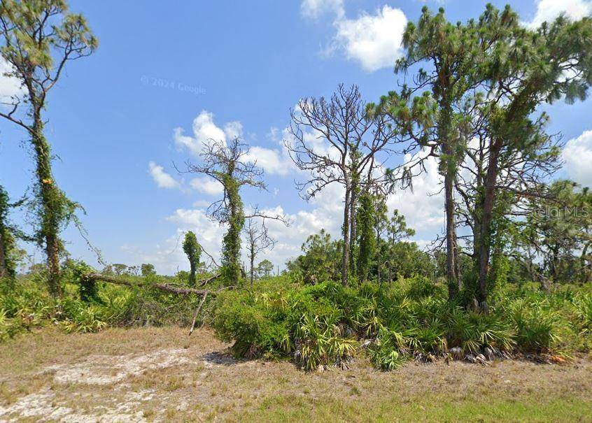 Placida, FL 33946,50 MAST DR