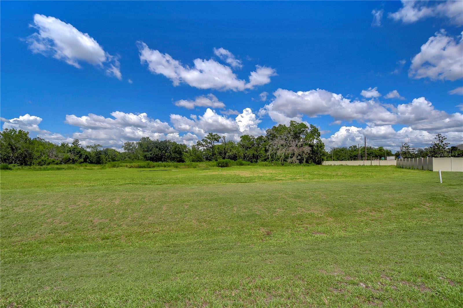 Lutz, FL 33548,223 MAGNOLIA ACRES CT