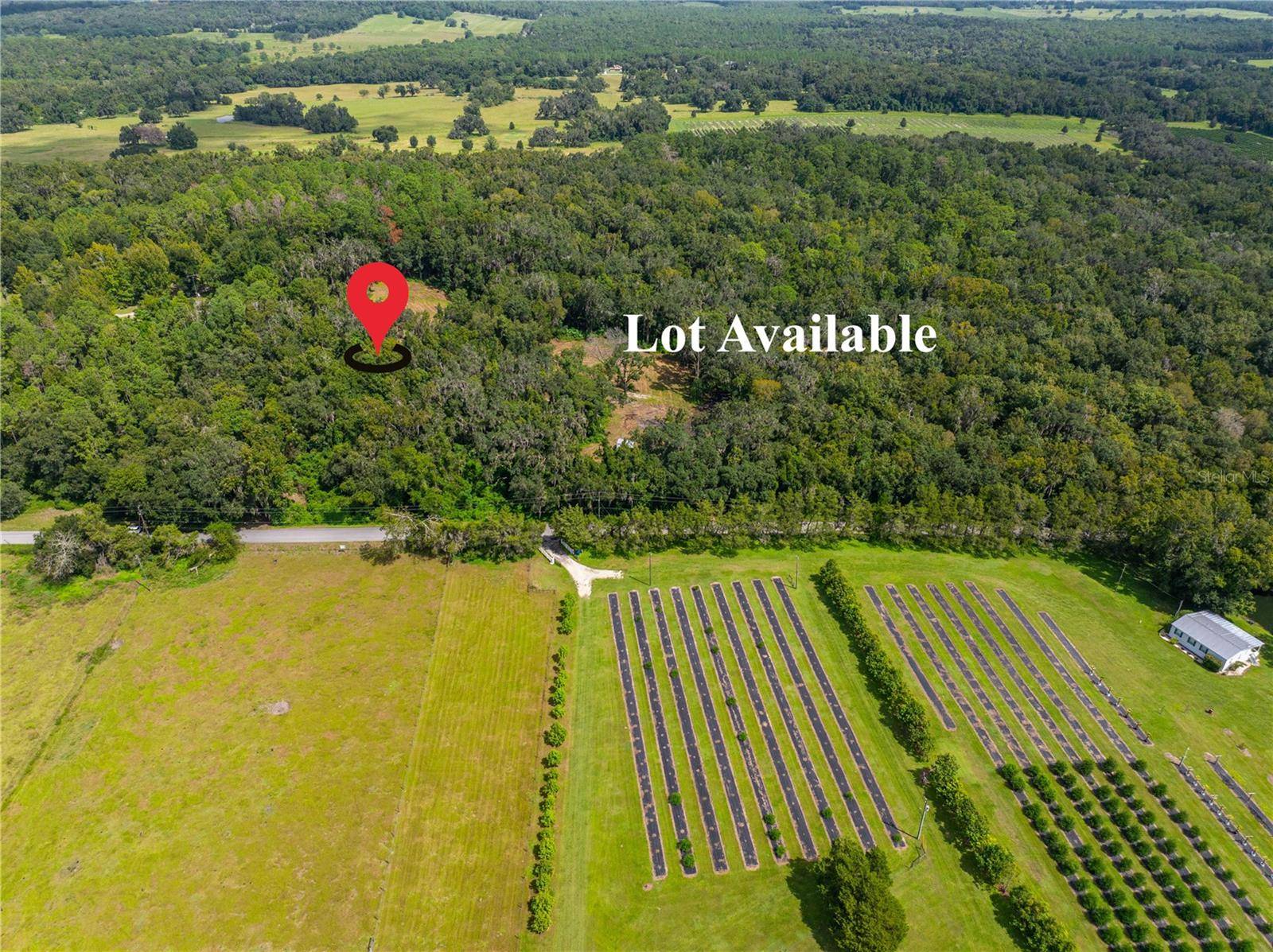 Brooksville, FL 34601,WHITMAN RD