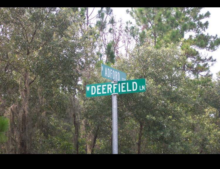 Dunnellon, FL 34434,2156 W DEERFIELD LN