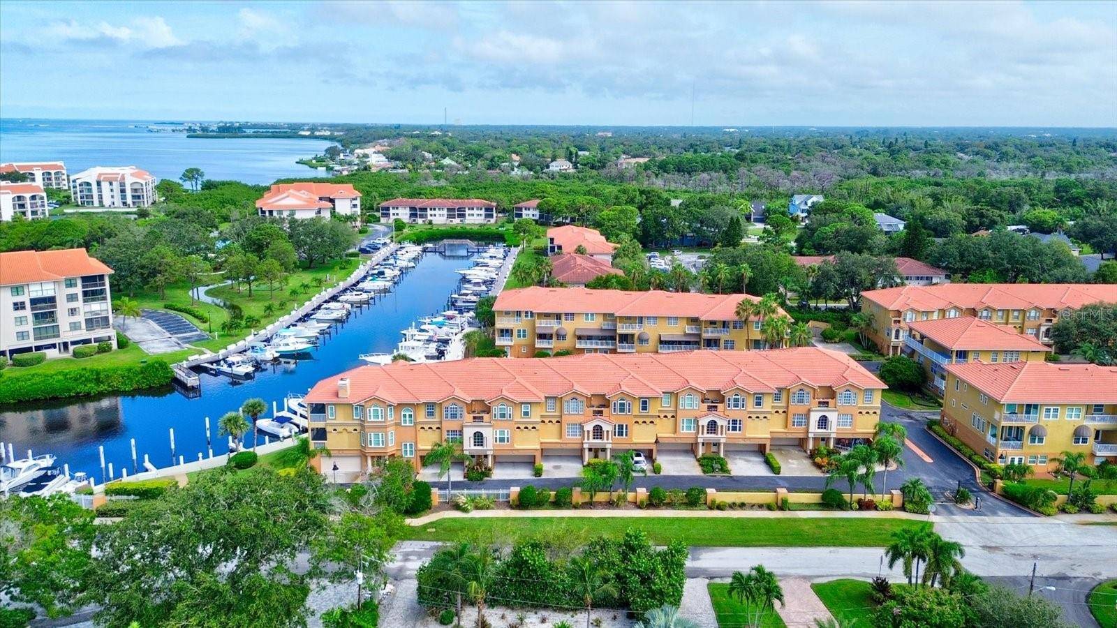 Tarpon Springs, FL 34689,1513 WHARFSIDE DR #1513