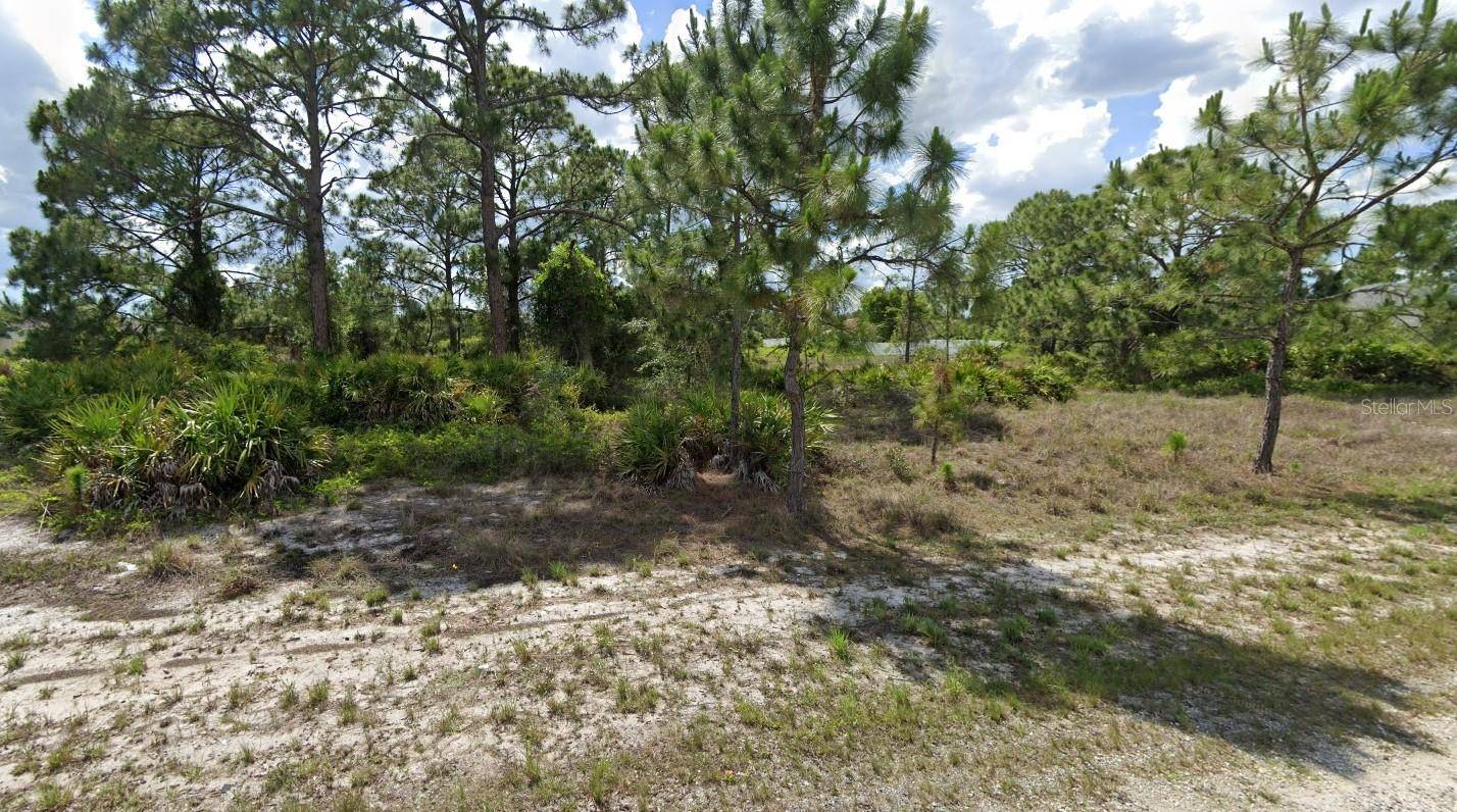 Lehigh Acres, FL 33974,1036 NORFOLK AVE S