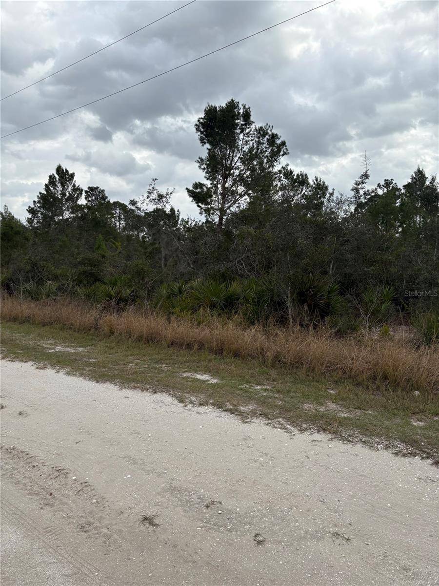 Sebring, FL 33870,413 DARTER AVE
