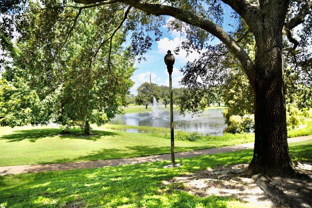 Zephyrhills, FL 33541,36121 LAKE CHASE BLVD #204
