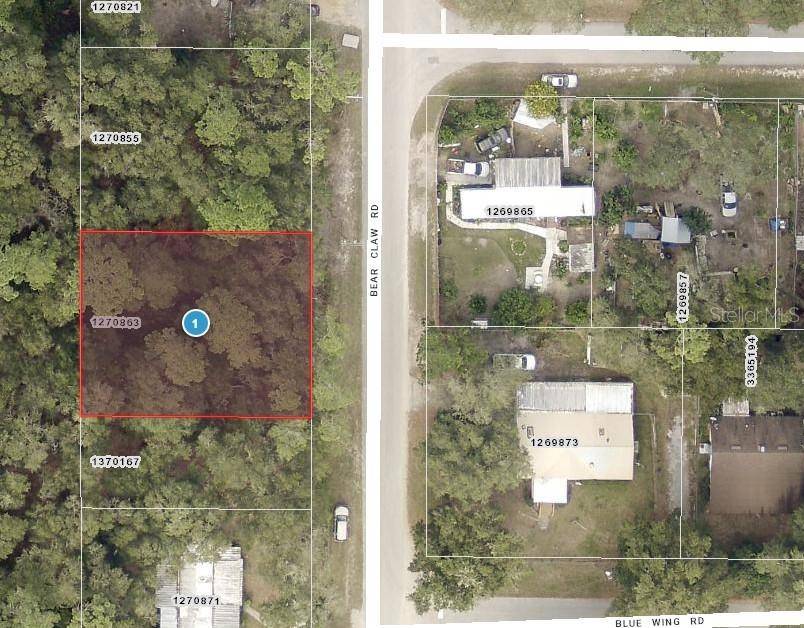 Altoona, FL 32702,Lots 11 & 12 BEAR CLAW RD