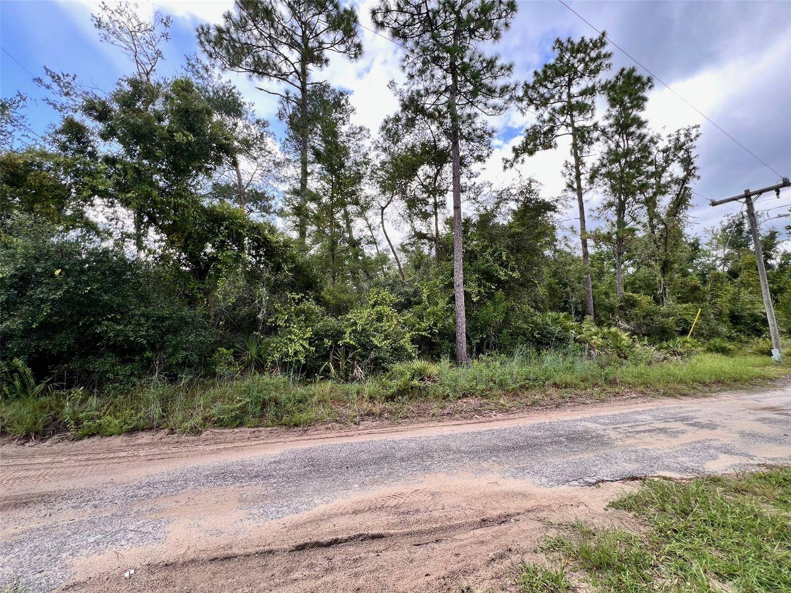 Altoona, FL 32702,Lot 66 1ST ST