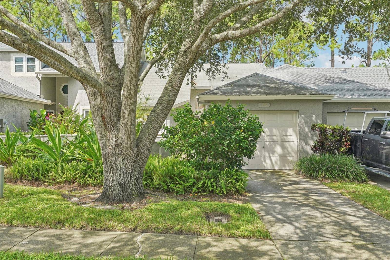 Palm Harbor, FL 34684,126 STEEPLECHASE LN