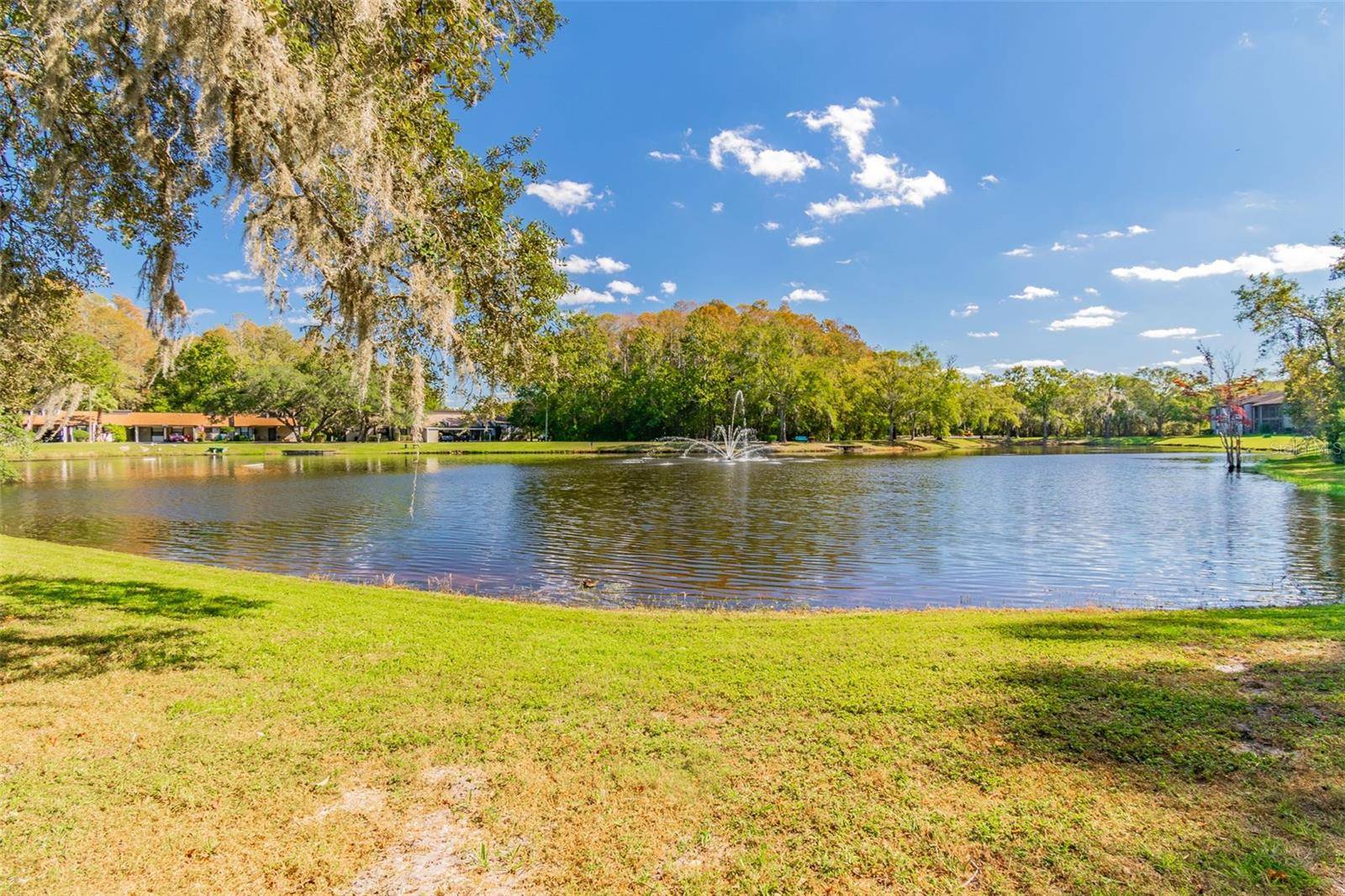 New Port Richey, FL 34654,11616 BAYWOOD MEADOWS DR #7