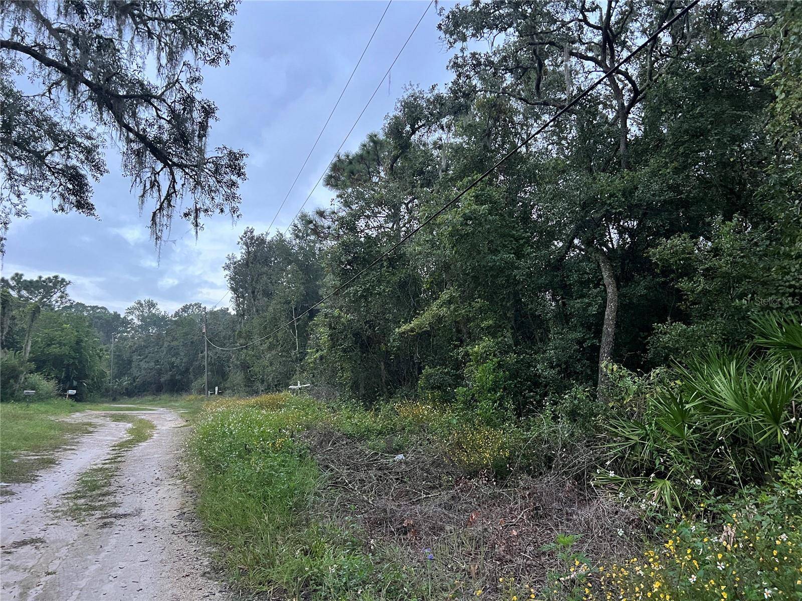 New Port Richey, FL 34654,9959 GILBERT ST