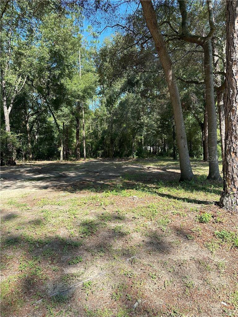 Citrus Springs, FL 34434,1947 W ALBURY PL