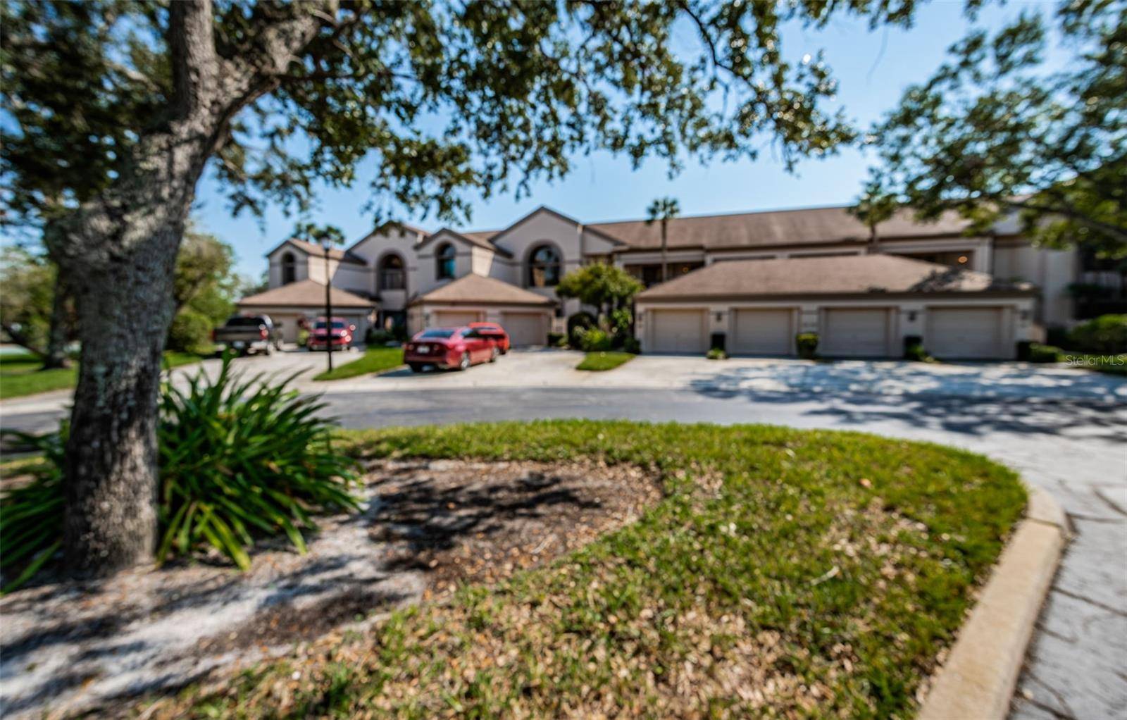 Palm Harbor, FL 34684,3044 RED OAK CT #102