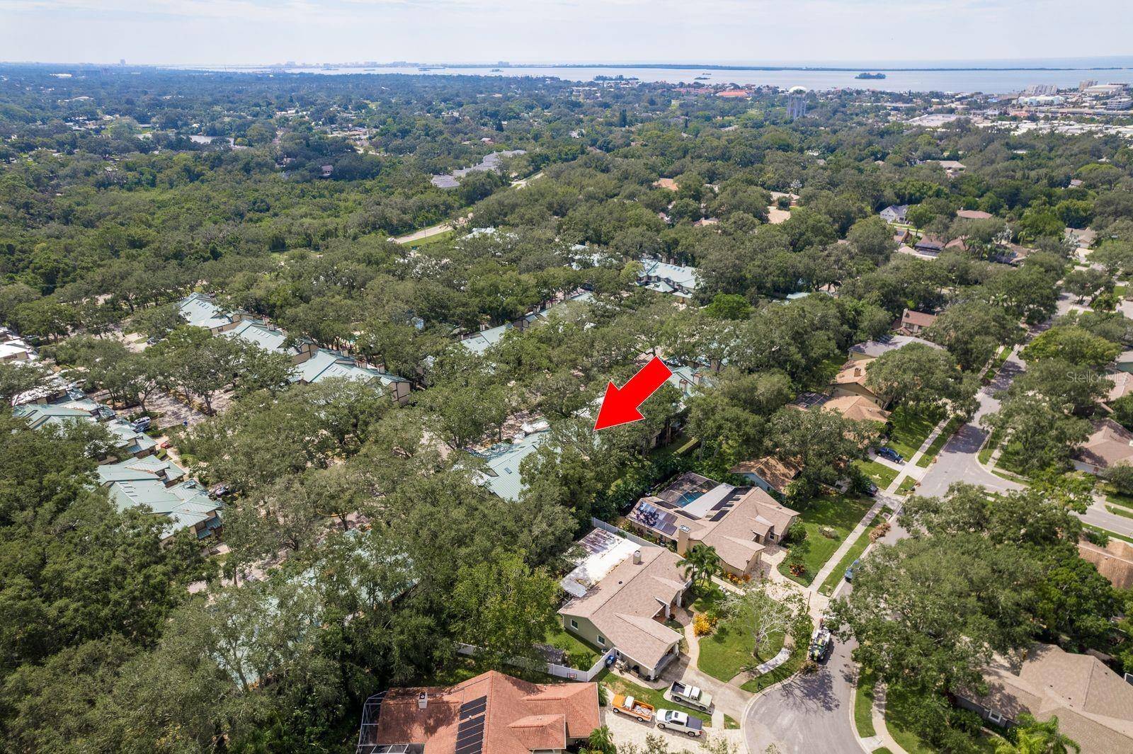 Palm Harbor, FL 34683,1500 MAHOGANY LN #605