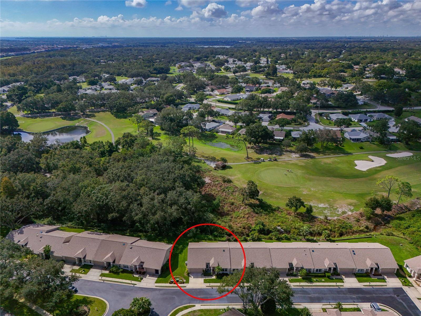 Palm Harbor, FL 34684,3542 BIRKDALE LN