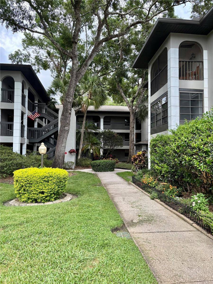 Palm Harbor, FL 34685,3399 MERMOOR DR #207