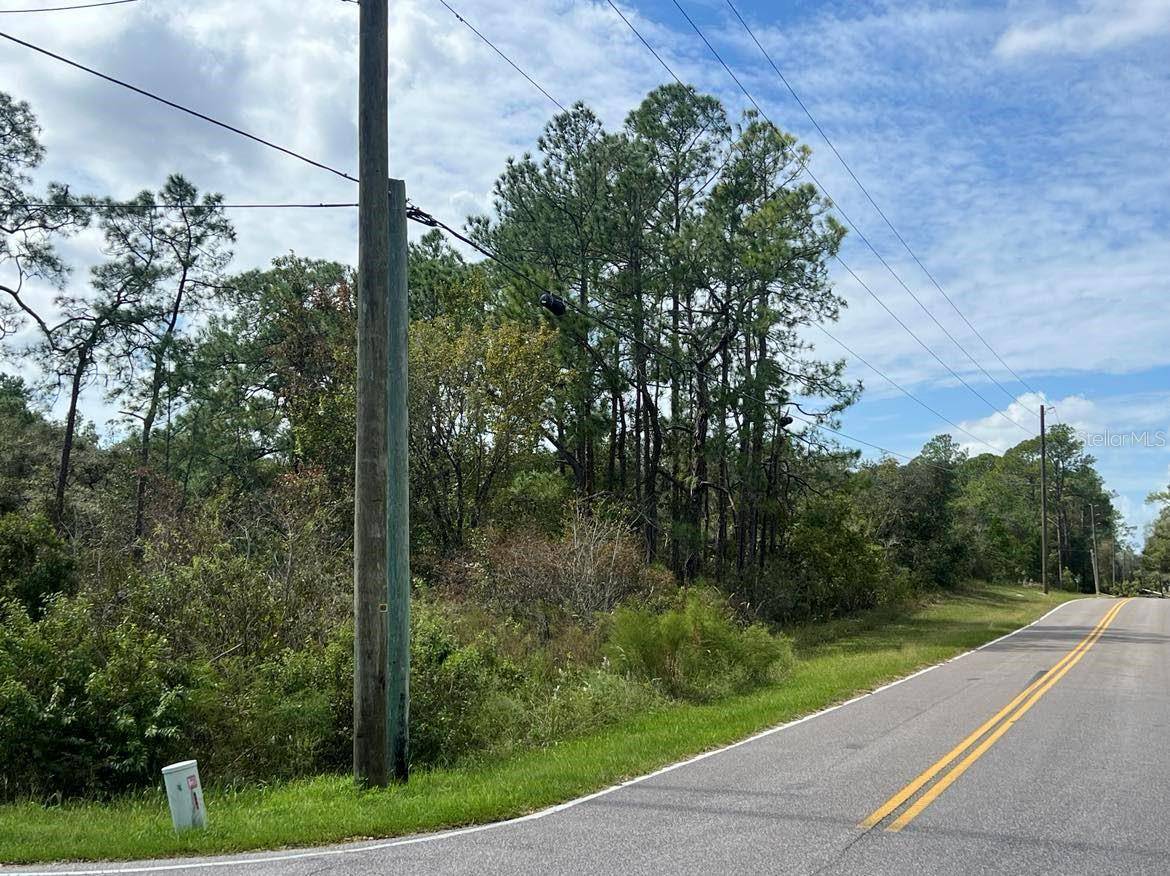 Webster, FL 33597,00 RICHARDSON BLVD #Lot #1