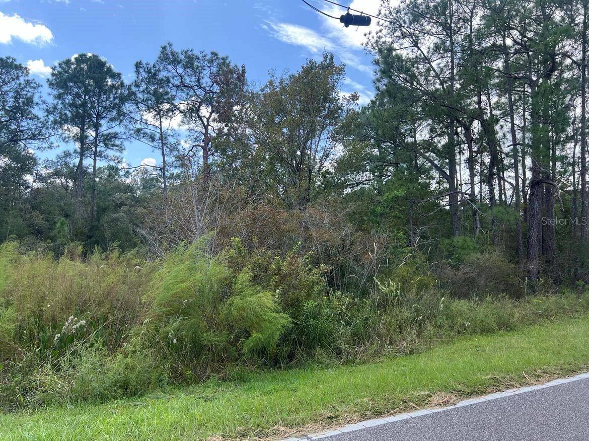 Webster, FL 33597,00 RICHARDSON BLVD #Lot #1