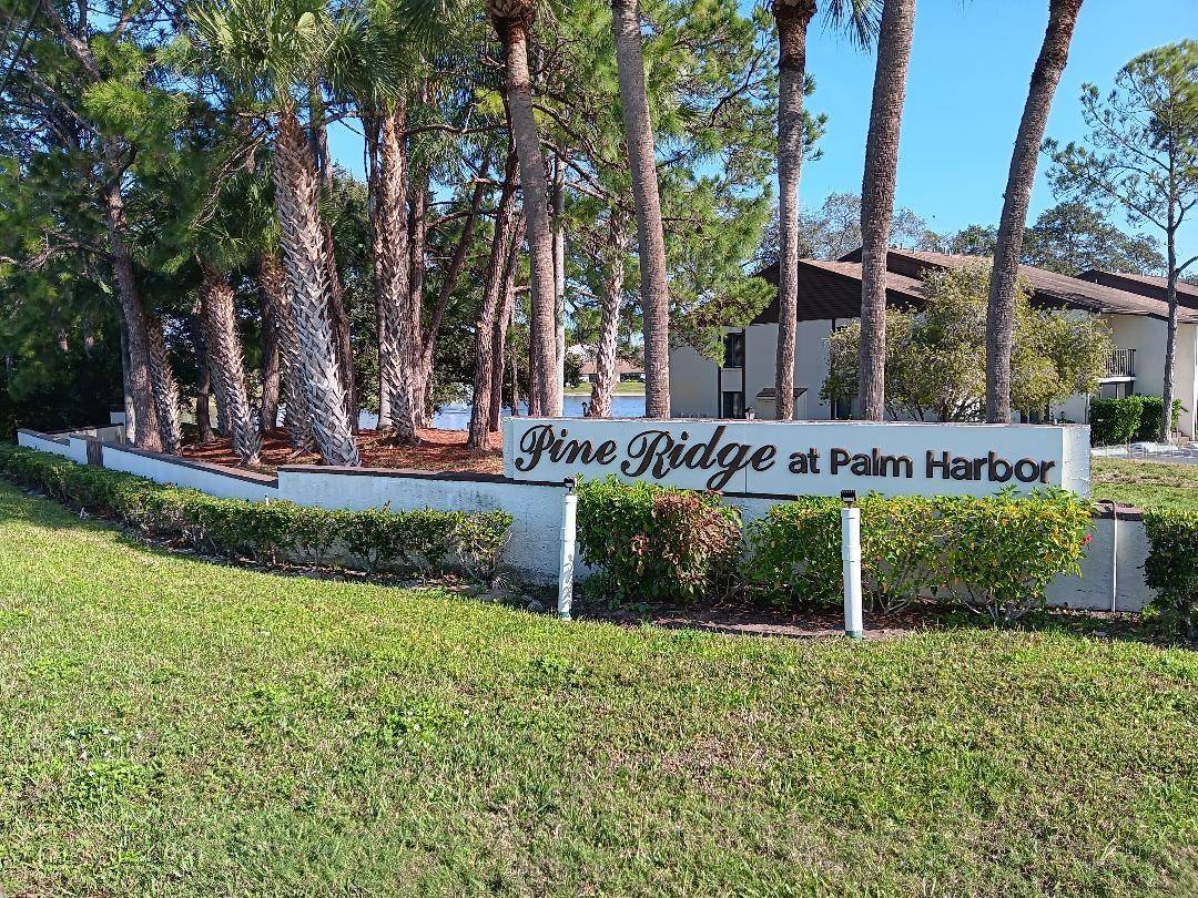 Palm Harbor, FL 34684,2642 PINE RIDGE WAY S #B2