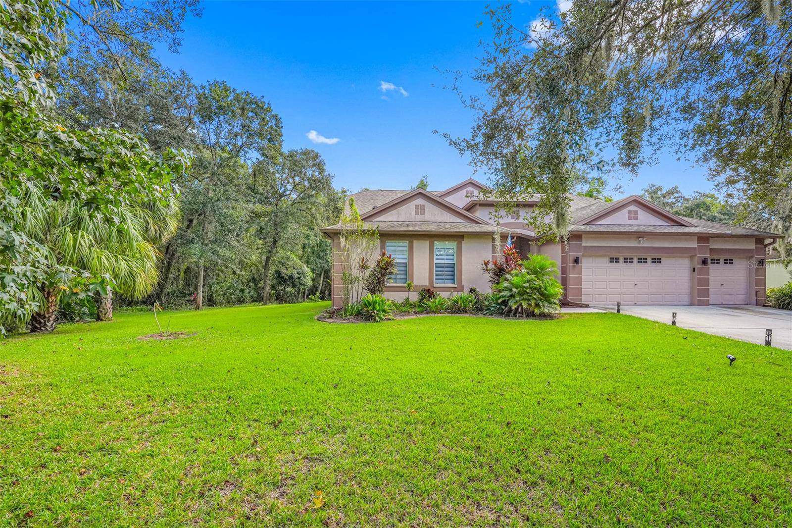 Riverview, FL 33569,12532 RIVER BIRCH DR