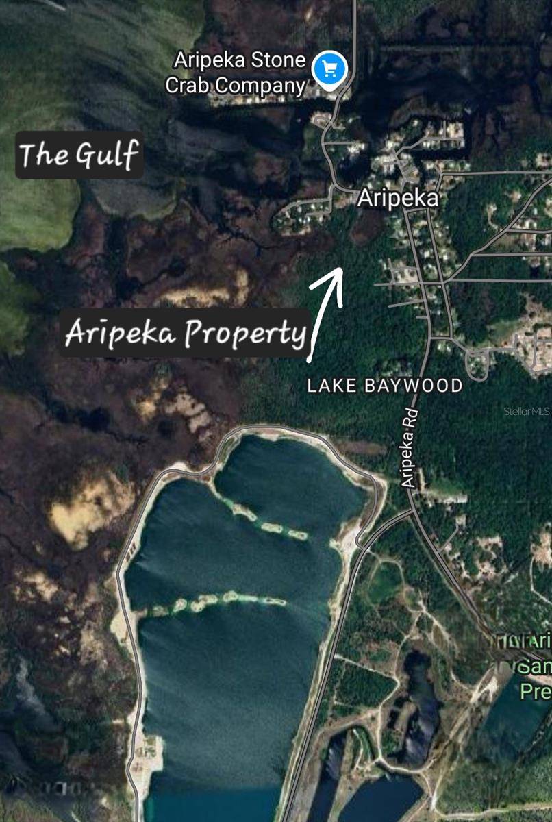 Hudson, FL 34667,ARIPEKA RD