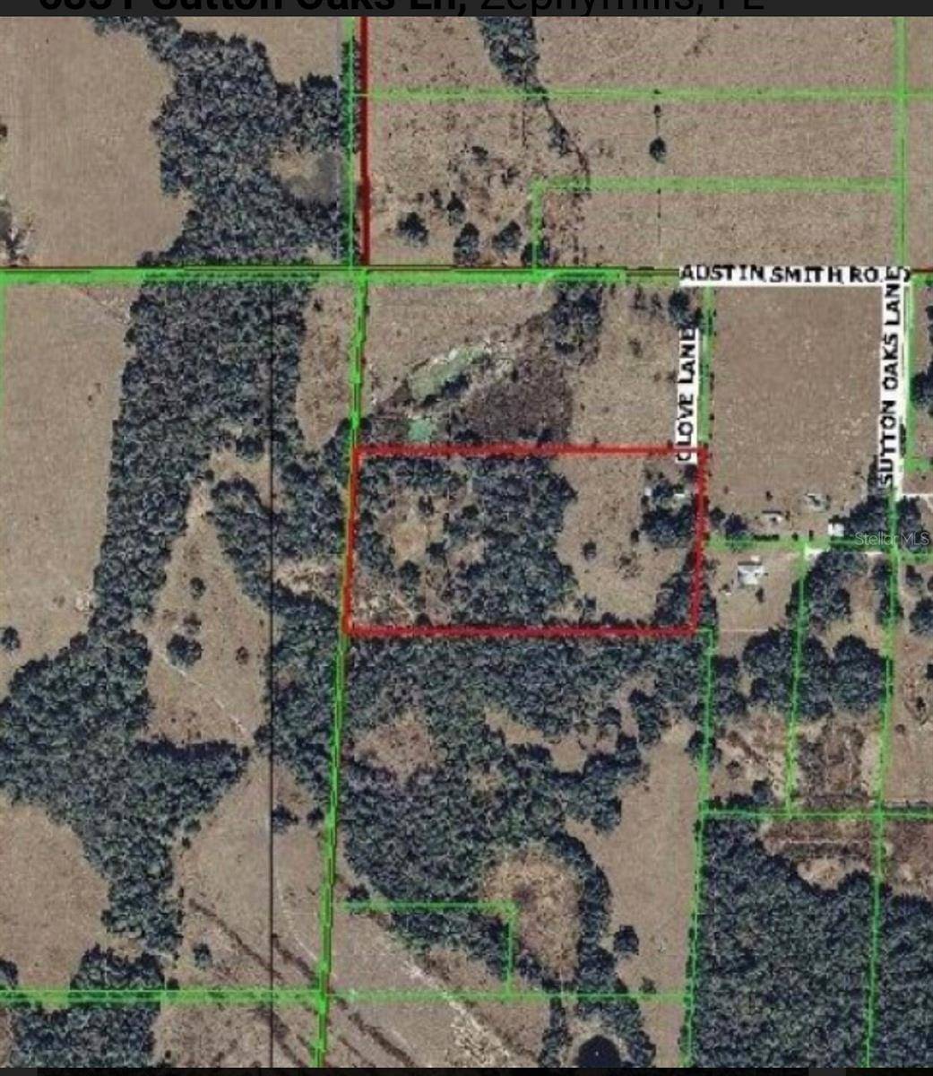 Zephyrhills, FL 33541,6831 CLOVE LN