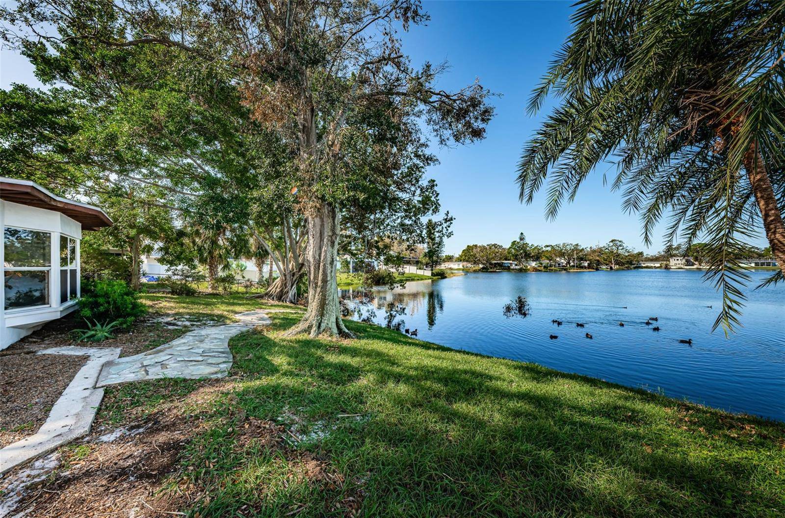 St Petersburg, FL 33702,8428 14TH ST N