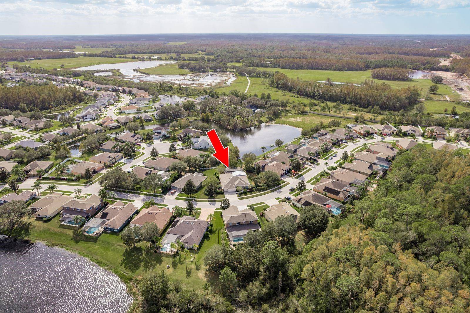 Land O Lakes, FL 34638,8817 CRYSTAL CREEK CT