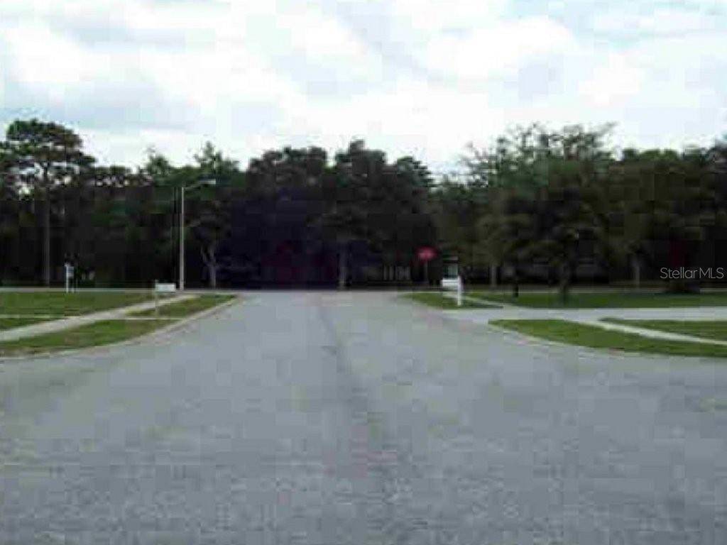 Hudson, FL 34667,18946 BLACK GUM CT