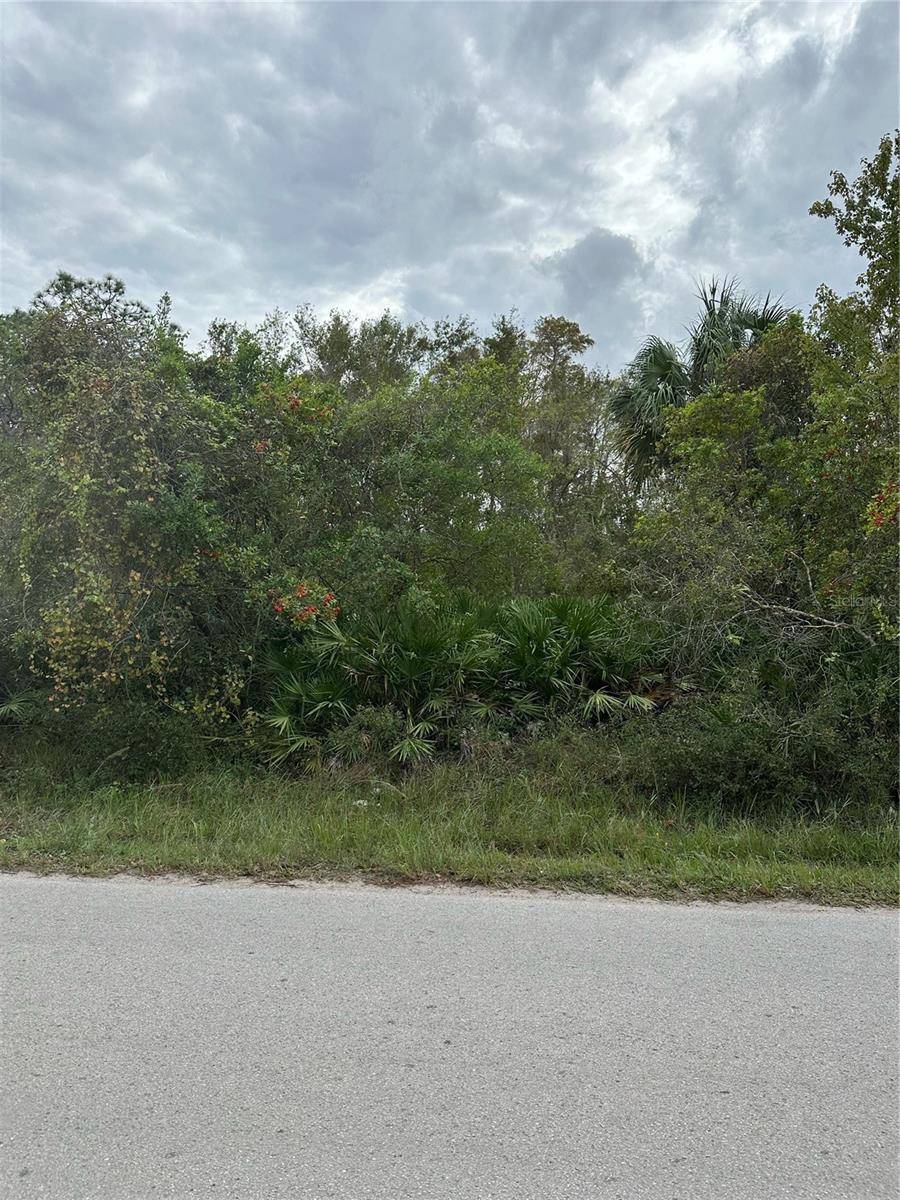 New Port Richey, FL 34654,10608 POWELL ST