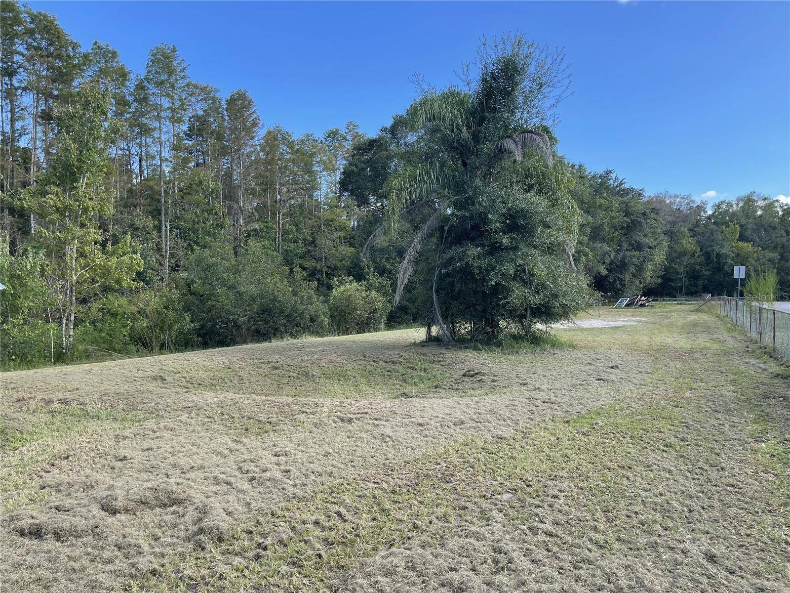 Land O Lakes, FL 34638,7428 SAINT JOHNS RD